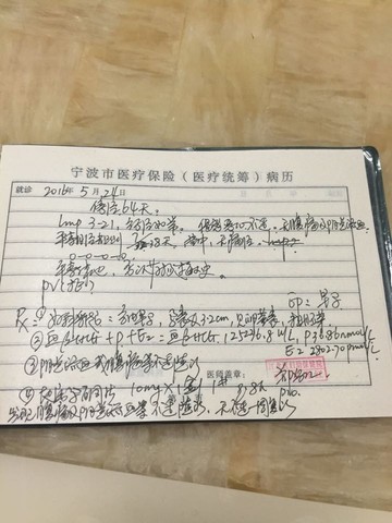 journal_insert_pic_490555986
