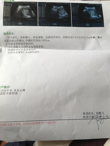 journal_insert_pic_493284561