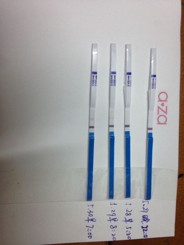 journal_insert_pic_493498633