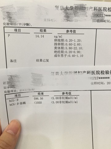 journal_insert_pic_493409132