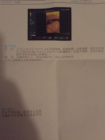 journal_insert_pic_494456594