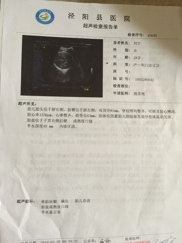 journal_insert_pic_493697682