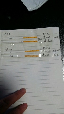 journal_insert_pic_496126889