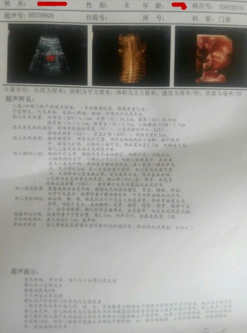journal_insert_pic_496042198