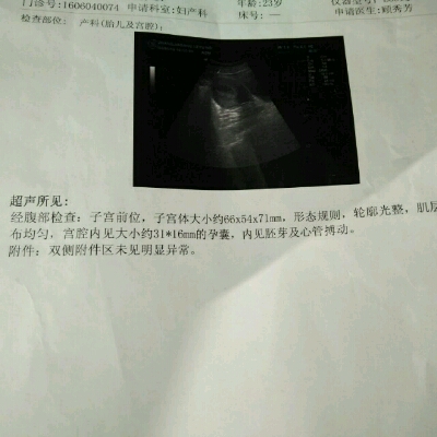 journal_insert_pic_499073936