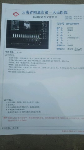 journal_insert_pic_499443742