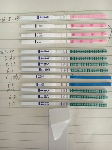 journal_insert_pic_499063663