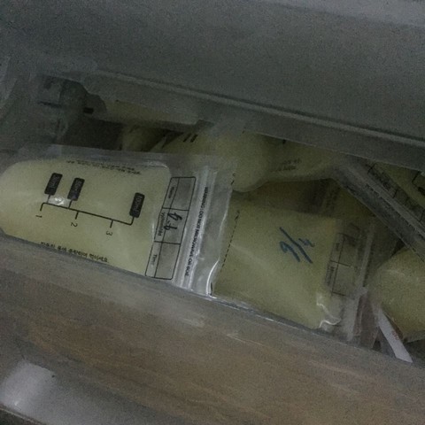 journal_insert_pic_500553319