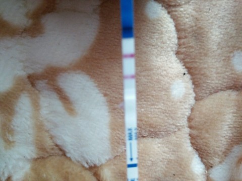 journal_insert_pic_501445435