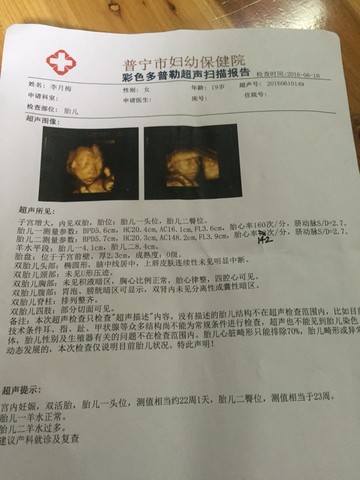 journal_insert_pic_502536775