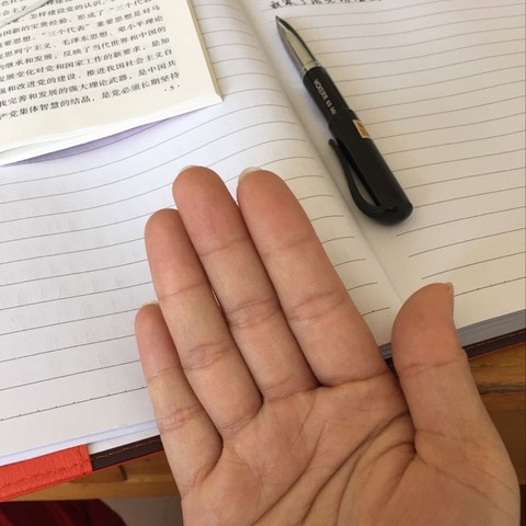 journal_insert_pic_503935861