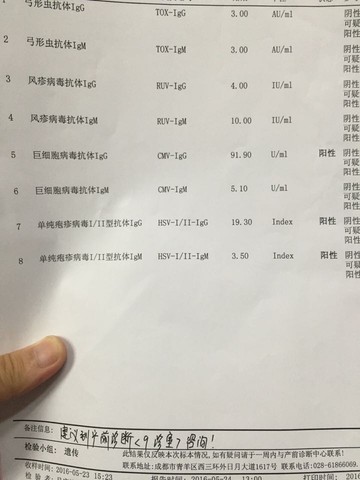 journal_insert_pic_504115851