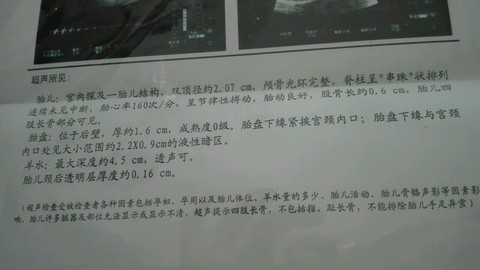 journal_insert_pic_503858771