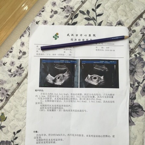 journal_insert_pic_504347774