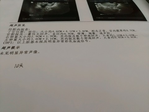 journal_insert_pic_505624753
