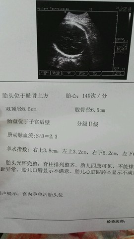 journal_insert_pic_507163160