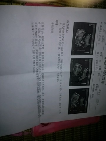 journal_insert_pic_507700964