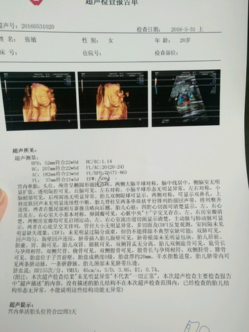 journal_insert_pic_507621000