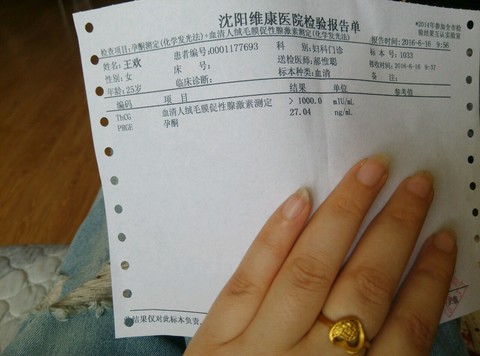 journal_insert_pic_508146228