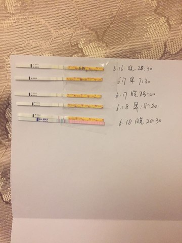 journal_insert_pic_509147436