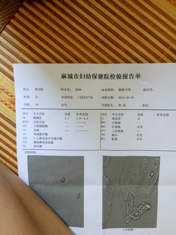 journal_insert_pic_508676638