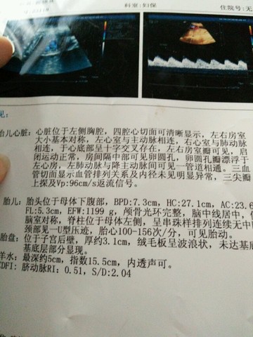 journal_insert_pic_509463823