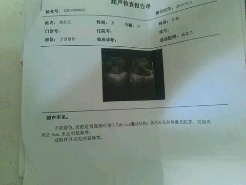 journal_insert_pic_509560019