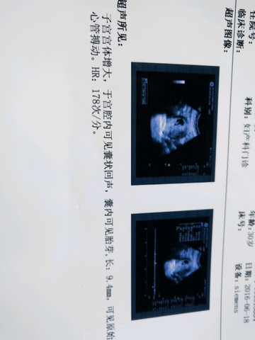 journal_insert_pic_509356965