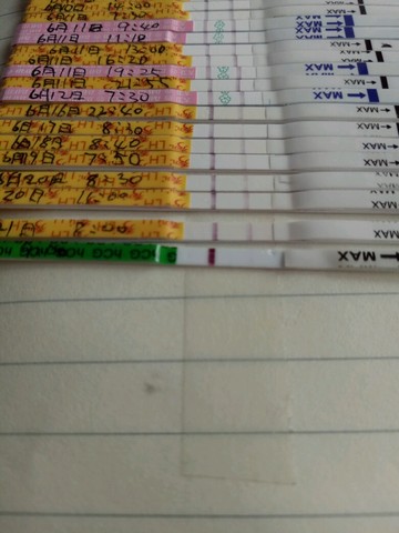 journal_insert_pic_511000820
