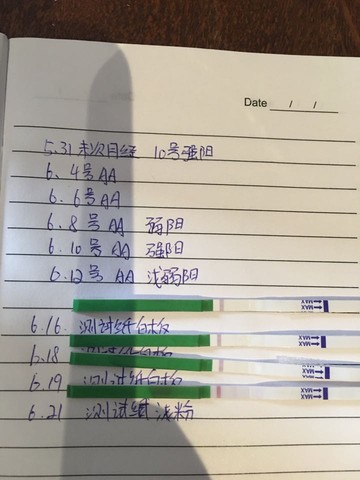 journal_insert_pic_511108834