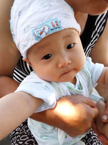 journal_insert_pic_510957741