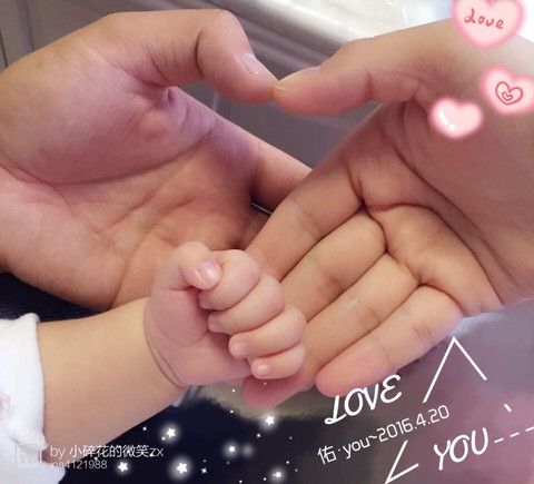 journal_insert_pic_511663066