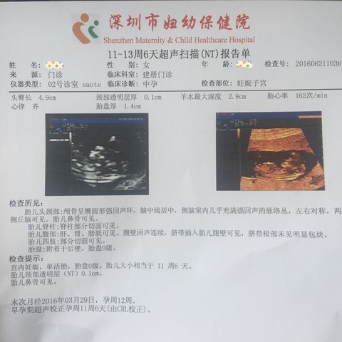 journal_insert_pic_511310667