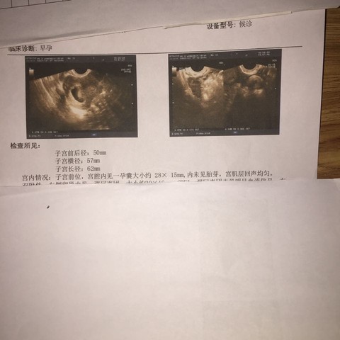 journal_insert_pic_513398104