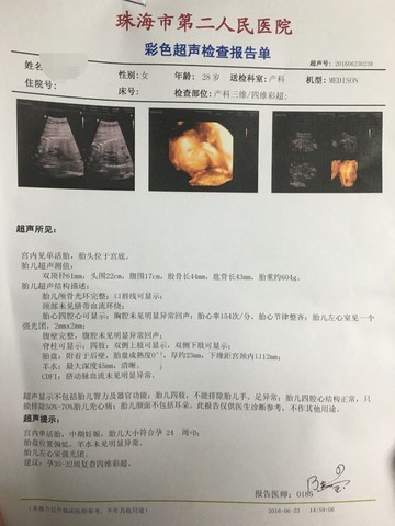 journal_insert_pic_513036441