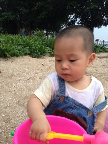 journal_insert_pic_513179384