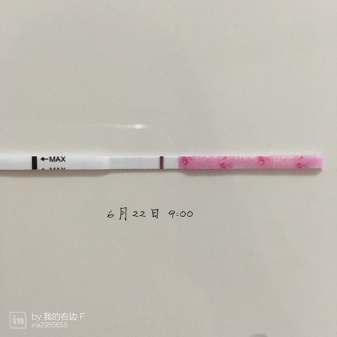 journal_insert_pic_514591842