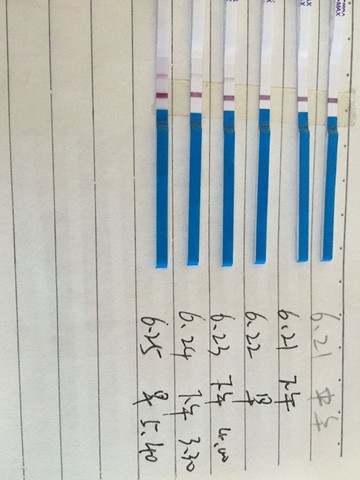 journal_insert_pic_514178067