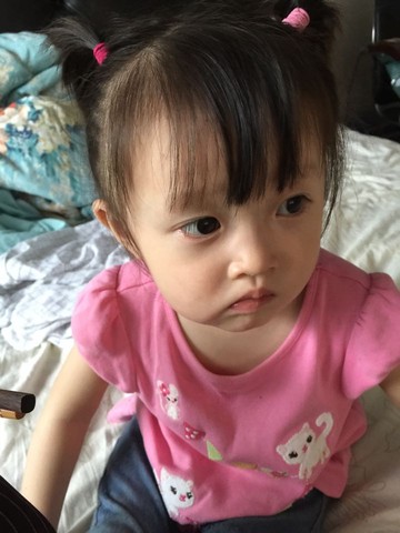 journal_insert_pic_515521143