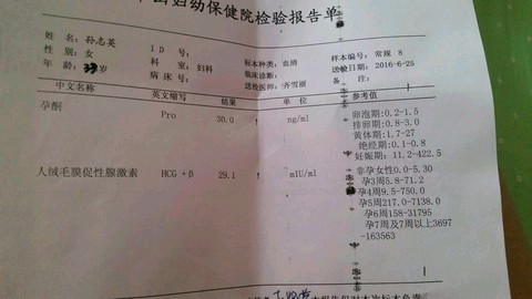 journal_insert_pic_515021674