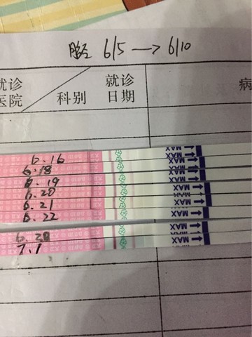 journal_insert_pic_519422466