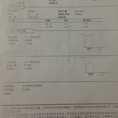 journal_insert_pic_520072009