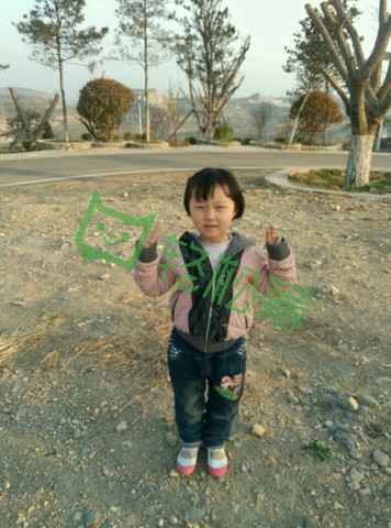 journal_insert_pic_520173945