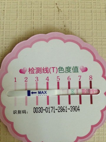 journal_insert_pic_520705391