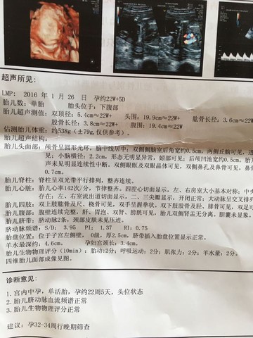 journal_insert_pic_520835666