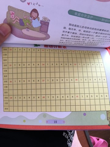 journal_insert_pic_521663497