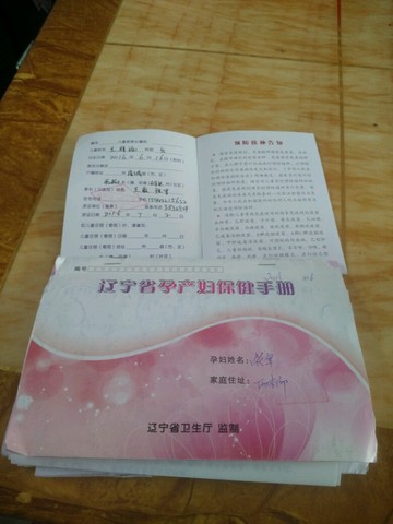journal_insert_pic_521827078
