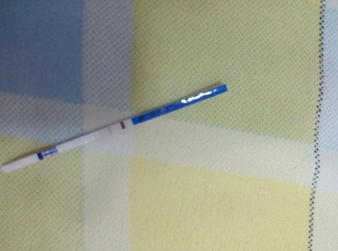 journal_insert_pic_522371610