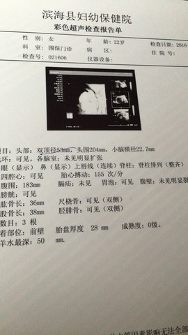journal_insert_pic_522895911