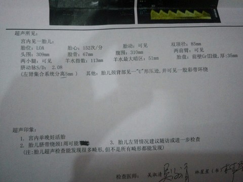 journal_insert_pic_523992614